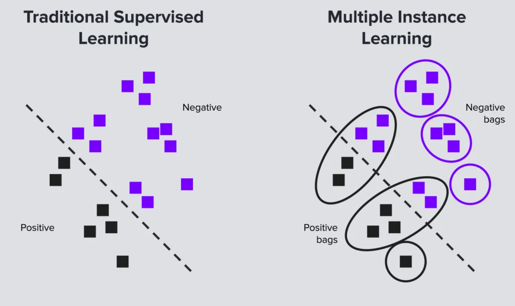 Traditional Supervised Learning VS MIL
